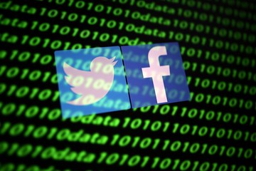 Social Media Platforms’ Role in Addressing Disinformation