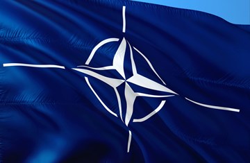 The Distinctiveness of NATO and the Alliance's Prehistory 