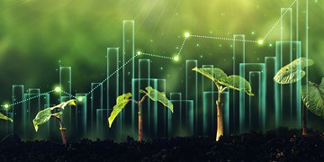 The Important Role of Green Finance in the Transition