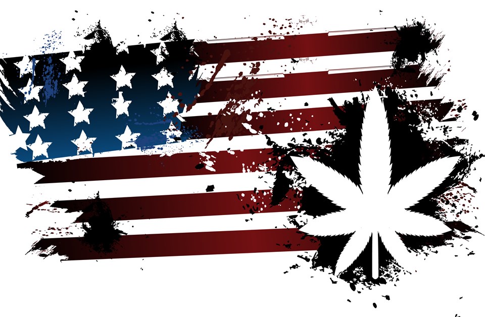 Narcotics of Politics: The Electoral Behavior of Marijuana Users in the United States